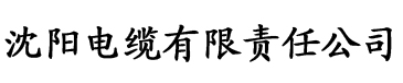 h香蕉视频电缆厂logo